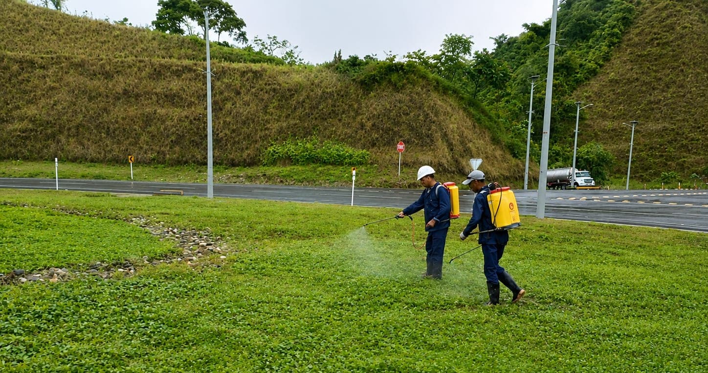 Two workers with backpack sprayers treat the green strip between the carriageway and the cut slope of a road, with the earth cut and a truck behind.